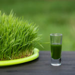 Healthy organic green detox juice from grass of green germinated wheat grains, close up. Green leaves of young wheat and wheatgrass juice in a glass on wooden table